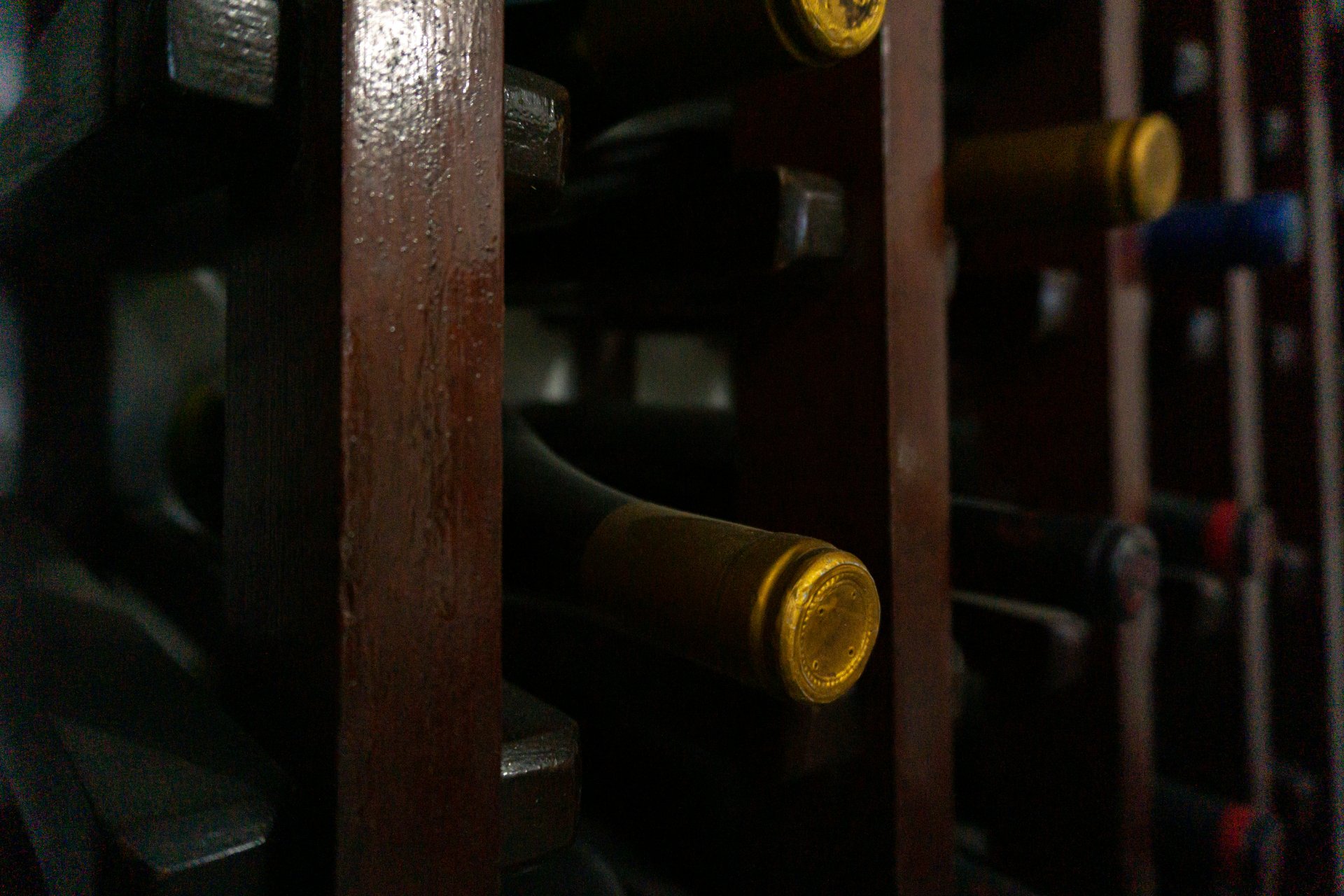 miguelphoto-arS5u_WQJg8-unsplash