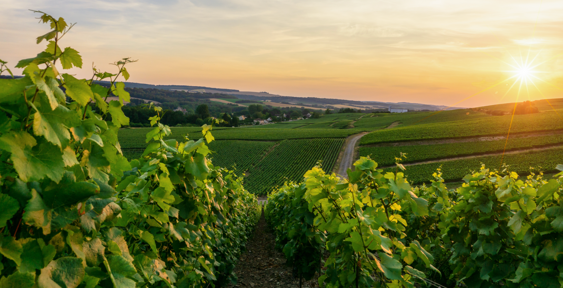 Bildschirmfoto 2026-02-25 um 15.08.16