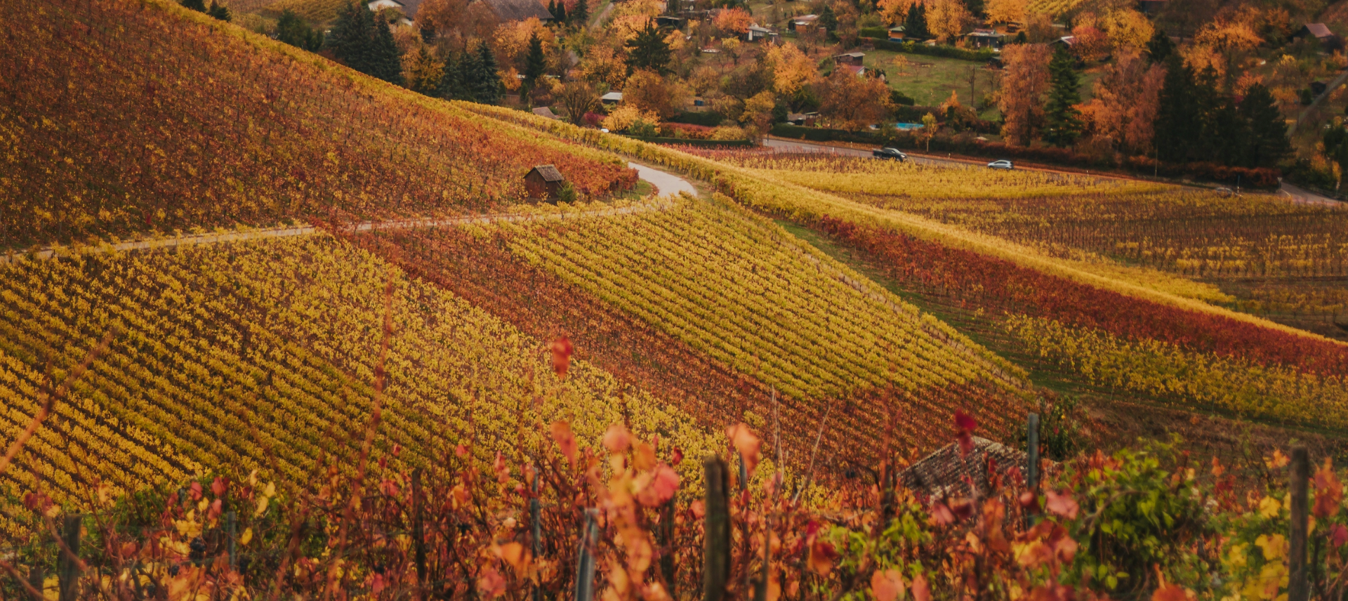 Bildschirmfoto 2025-12-17 um 11.31.34