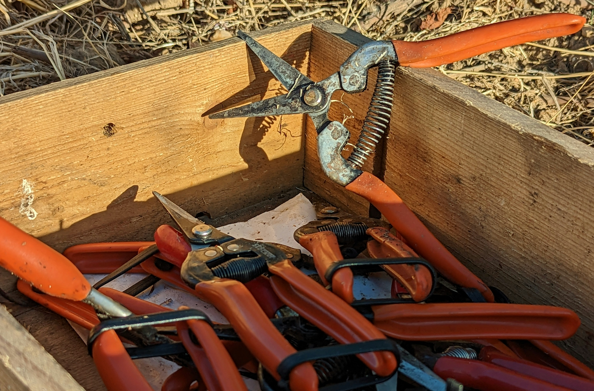 Bildschirmfoto 2025-12-17 um 11.38.40