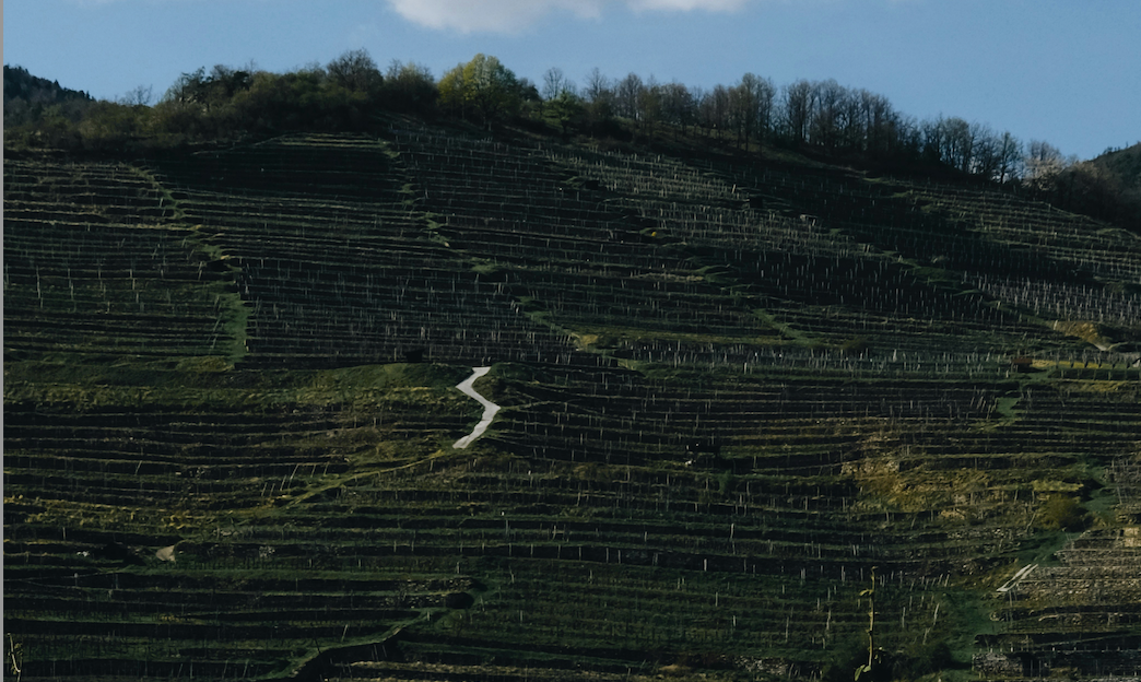 Bildschirmfoto 2025-12-18 um 18.23.42