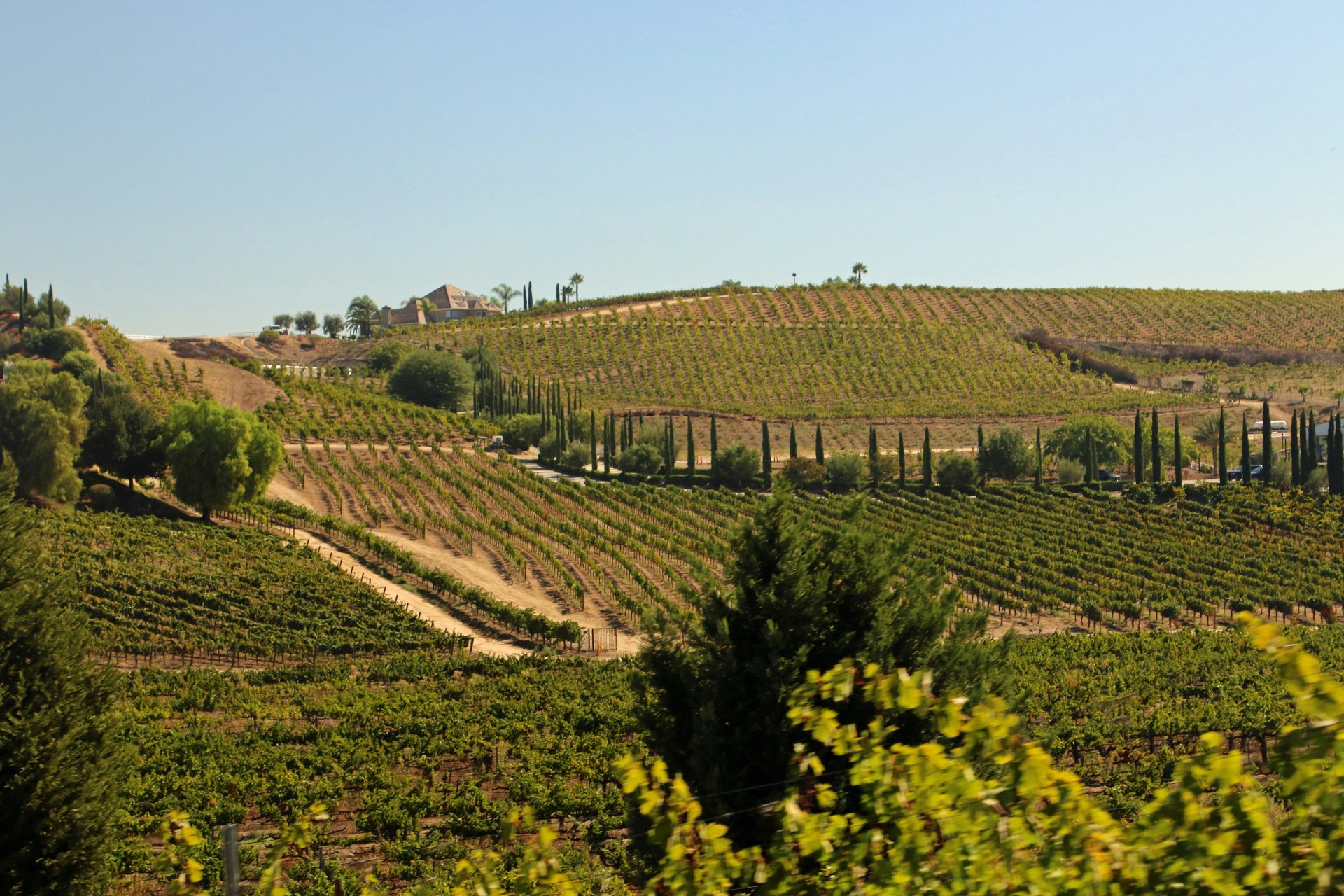 david-trinks-R7ZsPcnSTbc-unsplash