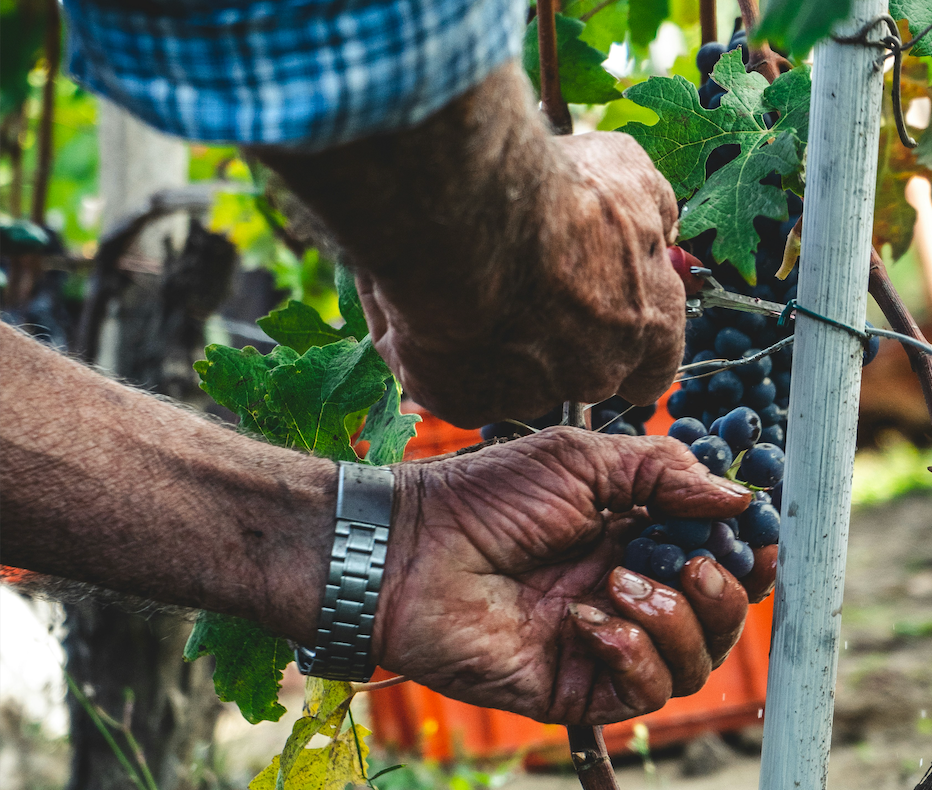 Bildschirmfoto 2025-12-17 um 10.52.16